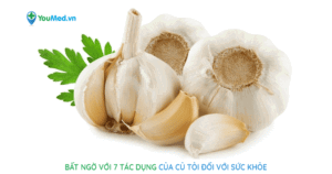 Bất ngờ với 7 tác dụng của củ tỏi đối với sức khỏe