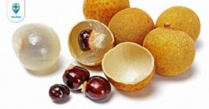 Long nhãn: Dược liệu bổ dưỡng từ cây Nhãn