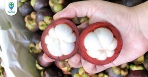 Măng cụt: Không chỉ là loại trái cây bổ dưỡng quen thuộc