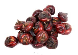 Củ Mã thầy, vị thuốc trong dân gian lạ mà quen