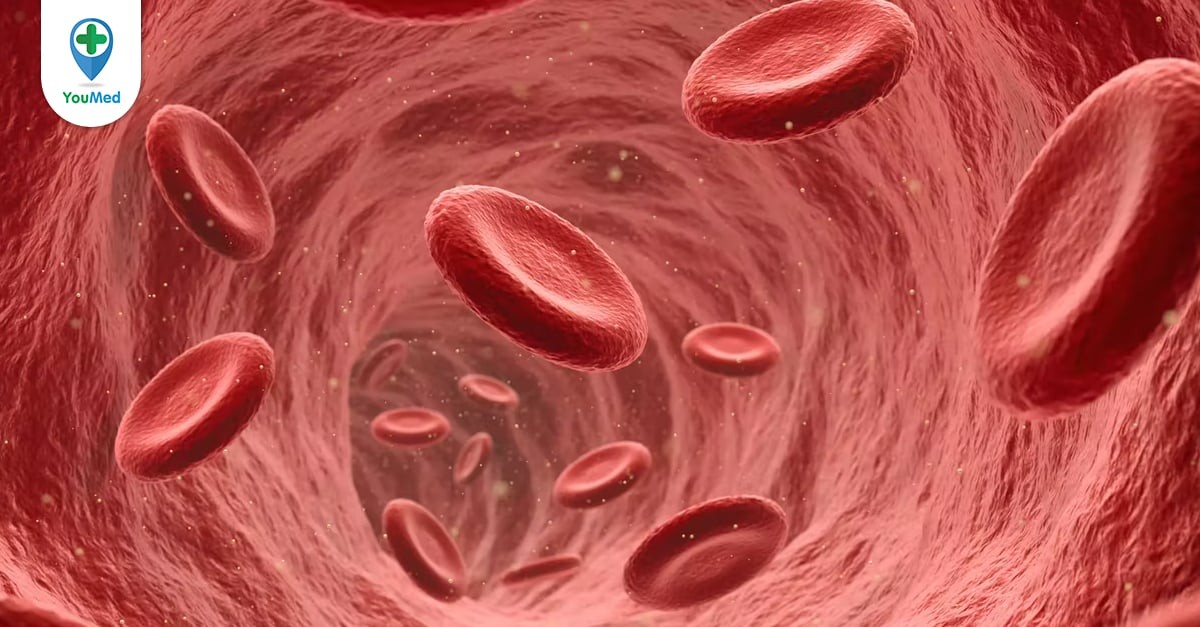 Các 5 chức năng của máu đối với sức khỏe của con người