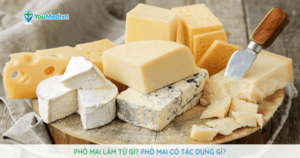 Phô mai làm từ gì? Phô mai có tác dụng gì?