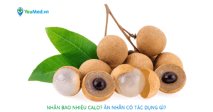Nhãn bao nhiêu calo? Ăn nhãn có tác dụng gì?