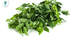 Rau ngót: công dụng làm thuốc từ loại rau quen thuộc