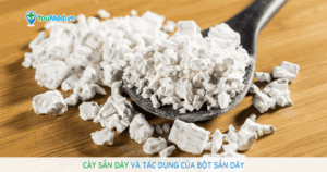 Cây sắn dây và tác dụng của bột sắn dây