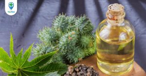 Tác dụng chữa bệnh của Thầu dầu