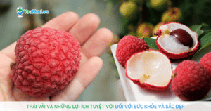 Trái vải và những lợi ích tuyệt vời đối với sức khỏe và sắc đẹp