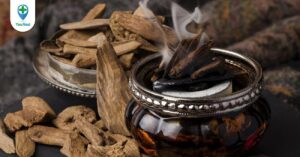 Trầm hương (Kỳ nam): Hương liệu quý cũng là vị thuốc đông y