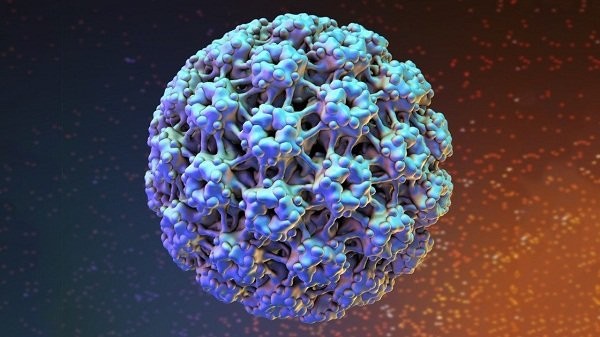 Nhiễm HPV làm tăng nguy cơ mắc một số bệnh ung thư