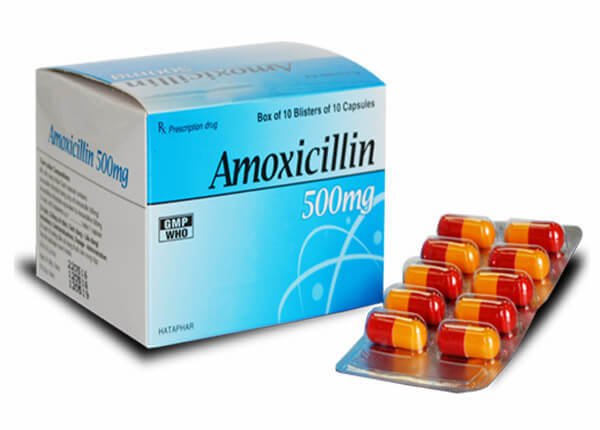 Thuốc kháng sinh Amoxicillin 500 mg