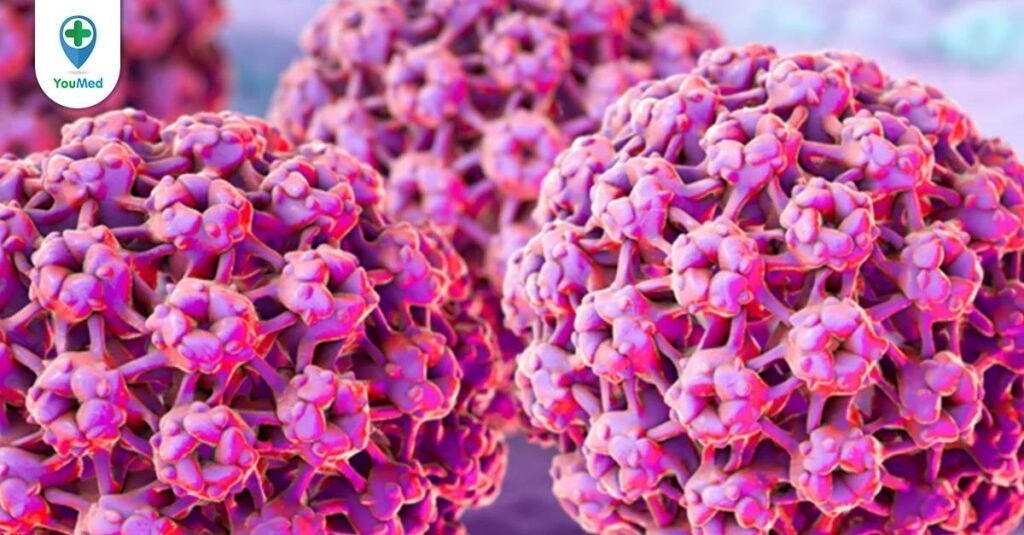 Các loại virus HPV và cách thức lây lan