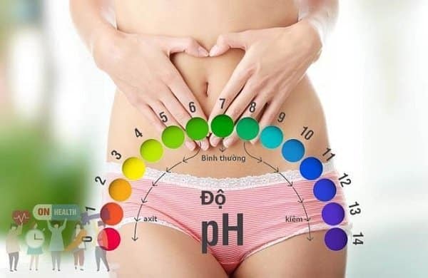 Độ pH bình thường của âm đạo từ 3.8 - 4.5