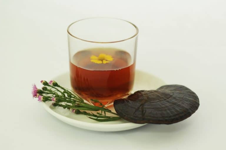 Nấm lim xanh có thể được dùng để sắc uống hoặc hãm trà