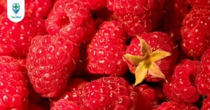 Tác dụng chữa bệnh của quả Mâm xôi