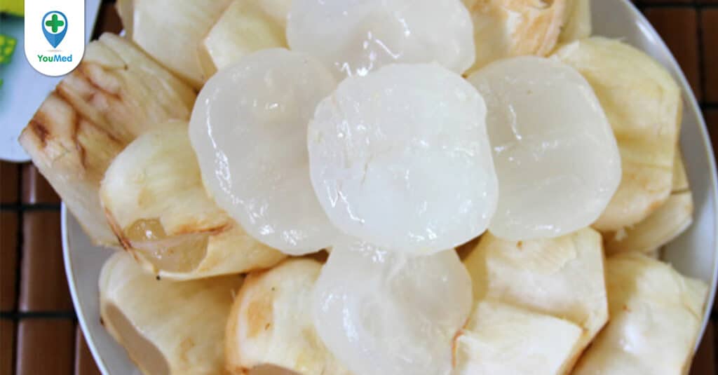 Khám phá công dụng của Thốt nốt đối với sức khỏe