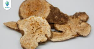 Tìm hiểu công dụng của vị thuốc Thương truật