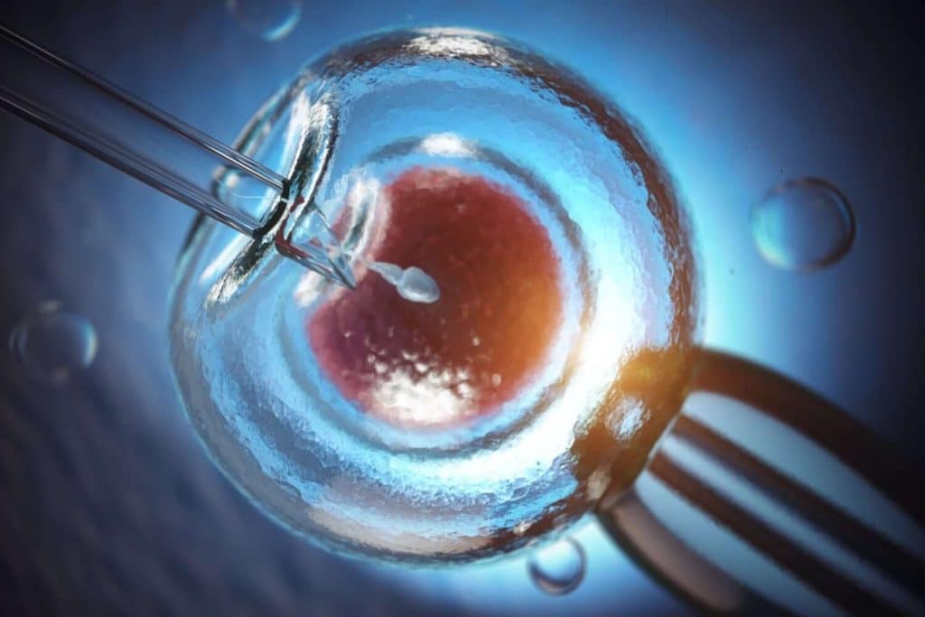 IVF là phương pháp thụ tinh trong ống nghiệm phổ biến hiện nay