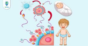 Nam giới mắc tinh trùng yếu có con không? Câu trả lời từ bác sĩ