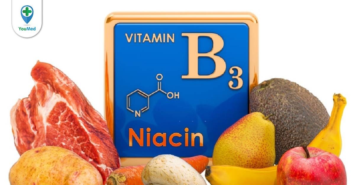 Các nghiên cứu khoa học liên quan đến tác dụng của vitamin B3 cho sức khỏe ra sao?