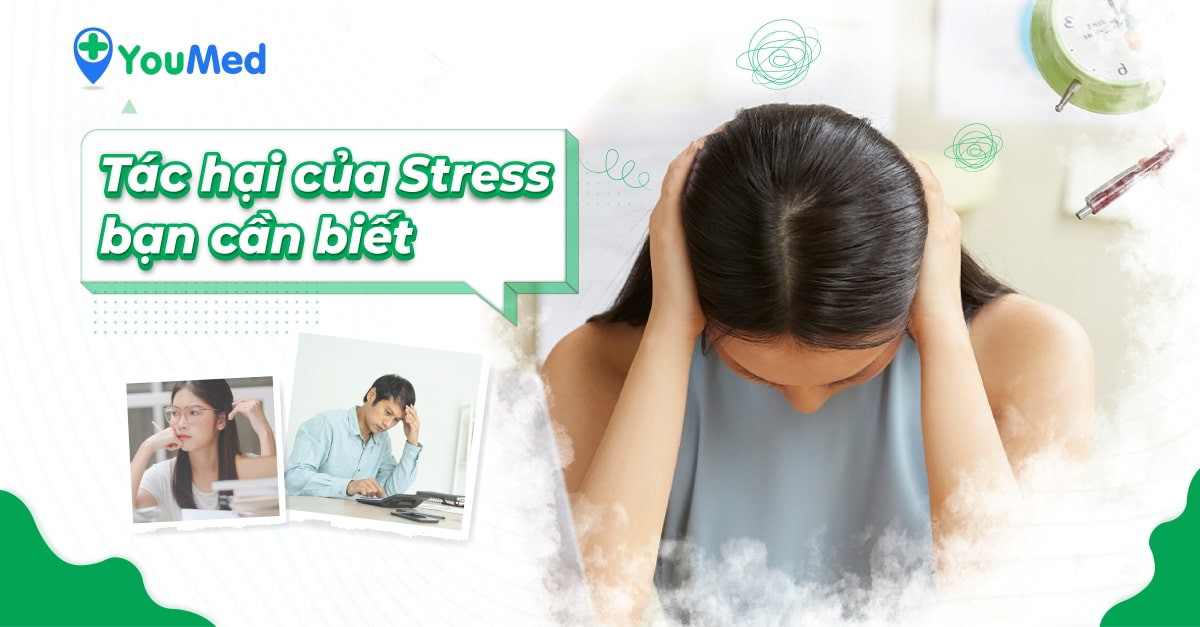Căng thẳng có thể gây ảnh hưởng đến cân nặng và cơ chế tạo ra hiện tượng này là gì?
