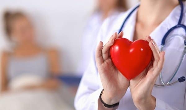 Trái tim là cơ quan quan trọng của cơ thể