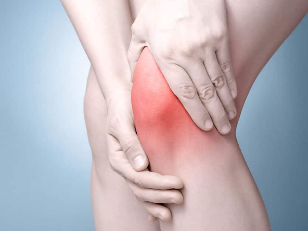 Cây bìm bịp: Vị thuốc có nhiều chức năng tốt cho sức khỏe - YouMed