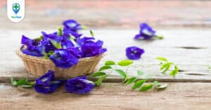 Đậu biếc và những công dụng hữu ích