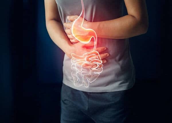 Đậu rộng hỗ trợ tiêu hóa, cung cấp chất xơ ngừa táo bón...