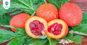 Hạt gấc và những công dụng mà bạn không thể bỏ qua