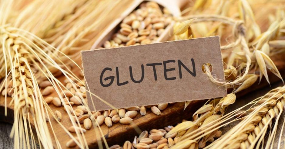 Không dung nạp được phần Gluten được xem là nguyên nhân gây bệnh