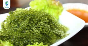 Rong nho: Món quà từ biển cả và những công dụng không ngờ