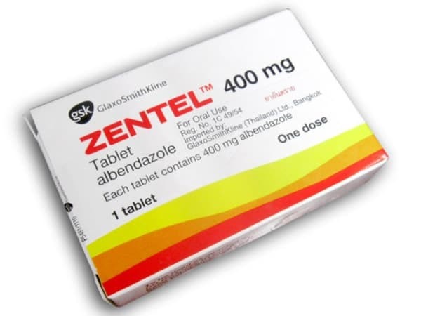 Thuốc Zentel là một trong những thuốc tẩy giun tốt nhất cho người lớn