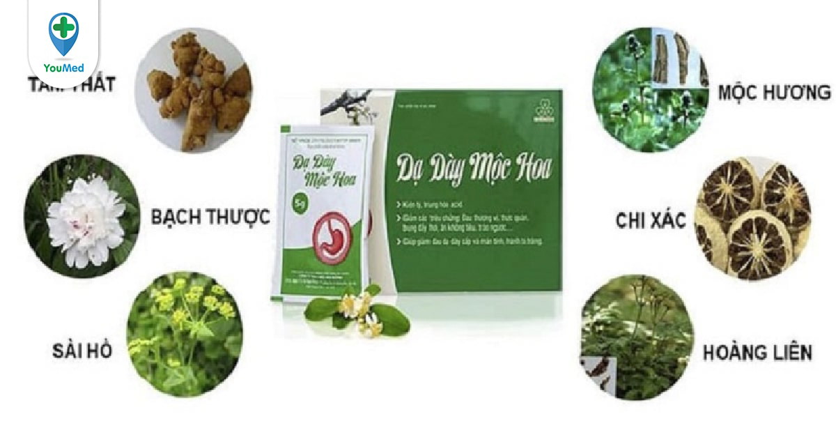 Cách chế biến và ứng dụng dạ dày mộc hoa Công dụng và nguồn thực phẩm chứa vitamin B