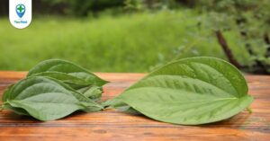 Có nên điều trị bệnh ghẻ theo dân gian hay không?