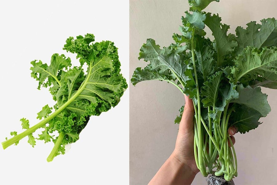 Nhấn vào ảnh để phóng to thực phẩm tốt cho mắt