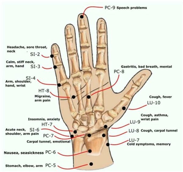 Các huyệt tại bàn tay - cổ tay và công dụng của chúng