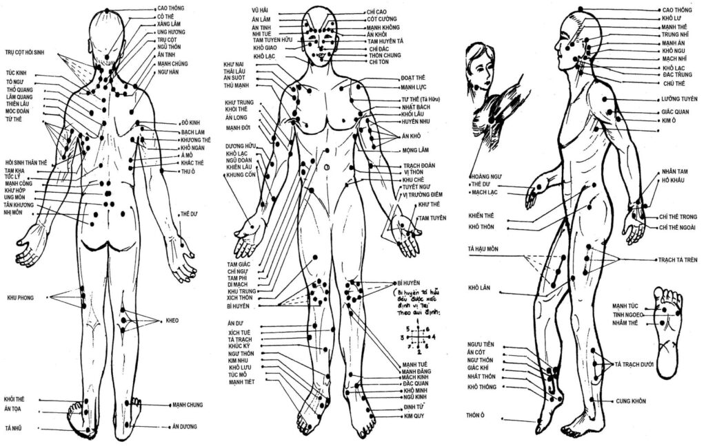 Hệ thống kinh lạc, huyệt vị của cơ thể