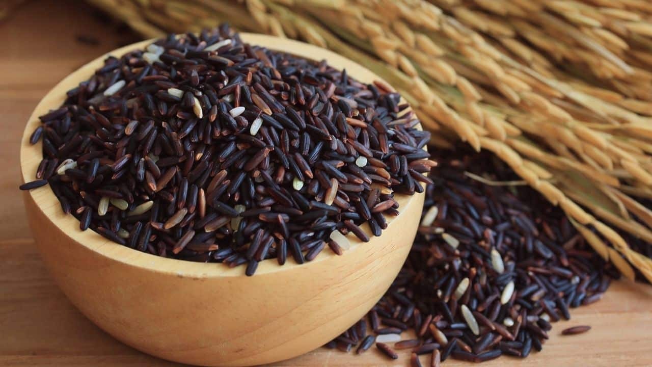 Gạo nếp cẩm chứa nhiều dưỡng chất quan trọng và độc đáo