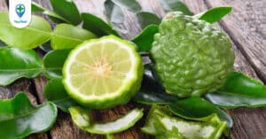 Trái chúc và những công dụng tuyệt vời đối với sức khỏe