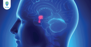 Những biểu hiện của suy tuyến yên bạn cần biết