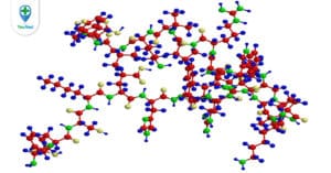 Rối loạn chuyển hóa protid: cơ sở hóa sinh và ứng dụng thực tế