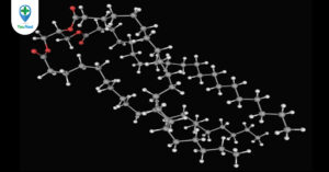Các bệnh liên quan đến rối loạn chuyển hóa lipid và cách nhận diện