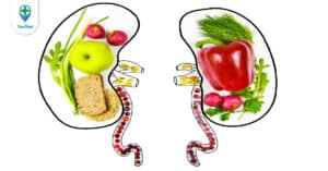 Người bệnh thận nên ăn gì? Giải đáp thắc mắc cho bạn