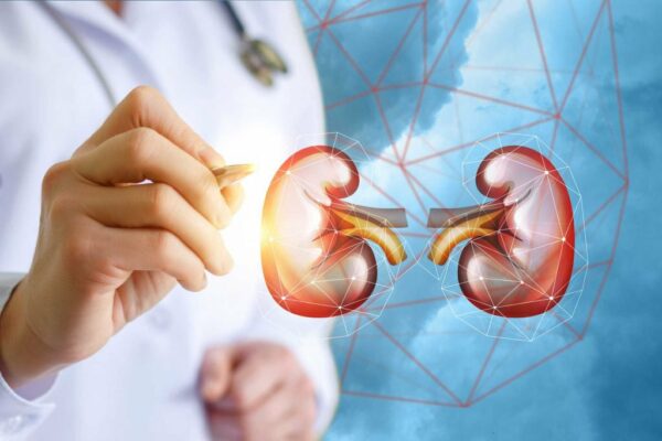 Mục tiêu của điều trị viêm cầu thận là bảo vệ thận khỏi bị tổn thương thêm