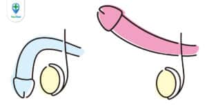 Không cứng dương vật: nỗi lo “thầm kín” của cánh mày râu