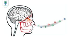 Mất khứu giác, vị giác trong Covid-19 có nguy hiểm không? Nên làm gì?