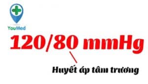 Huyết áp tâm trương: Những vấn đề cần tìm hiểu