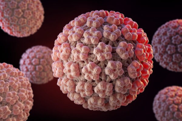 Virus HPV là nguyên nhân trực tiếp gây bệnh sùi mào gà ở người
