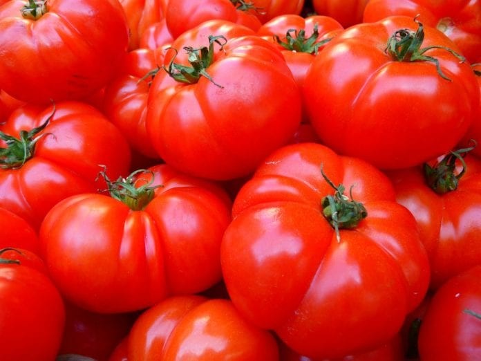 Cà chua giúp giảm tiết mồ hôi nếu được sử dụng mỗi ngày