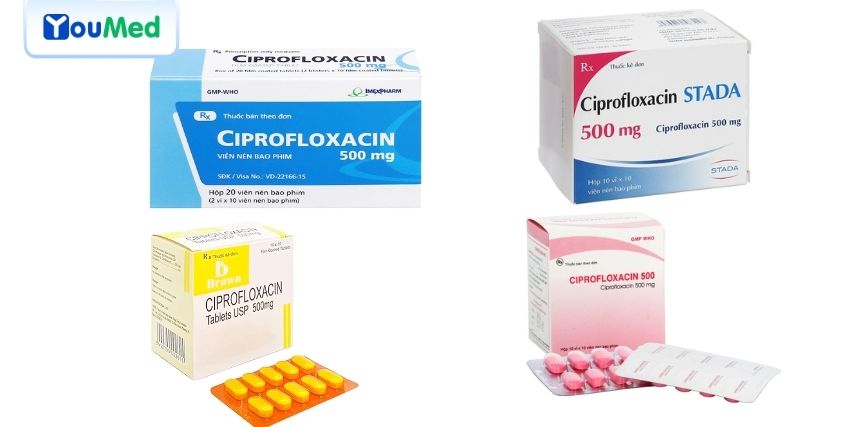 Thuốc Ciprofloxacin 500mg: công dụng, cách dùng và lưu ý khi sử dụng